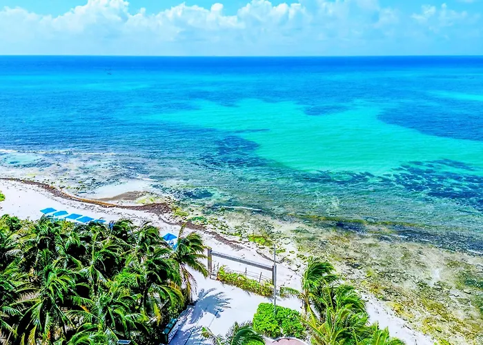 Remote Work With Fiber Wifi, King Memory Foam Bed, 8 Min In Playa 7b Apartment