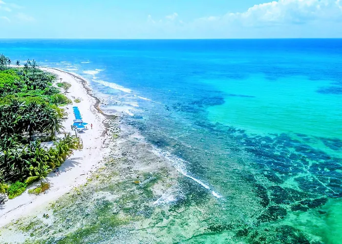 Apartment Remote Work With Fiber Wifi, King Memory Foam Bed, 8 Min In Playa 7b