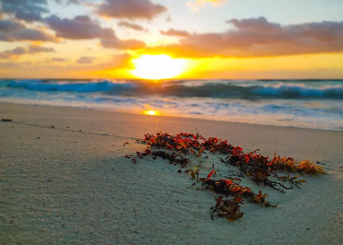 Apartment Remote Work With Fiber Wifi, King Memory Foam Bed, 8 Min In Playa 7b Playa del Carmen
