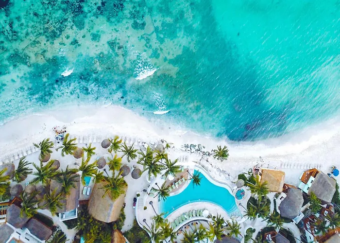 Remote Work With Fiber Wifi, King Memory Foam Bed, 8 Min In Playa 7b *