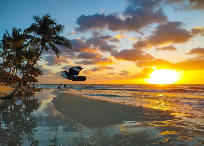 Remote Work With Fiber Wifi, King Memory Foam Bed, 8 Min In Playa 7b * Playa del Carmen